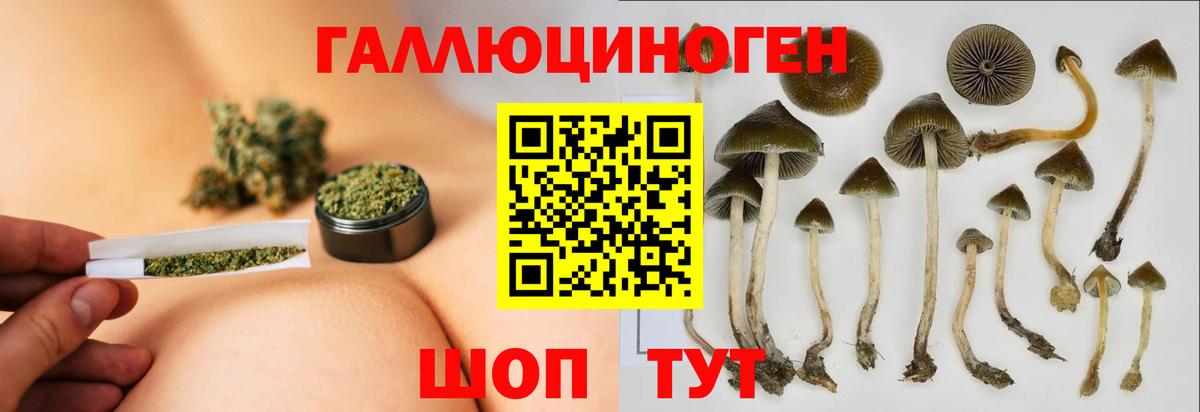 Псилоцибиновые грибы MAGIC MUSHROOMS  Псилоцибиновые грибы ЛСД  Саранск  Вход с VPN 